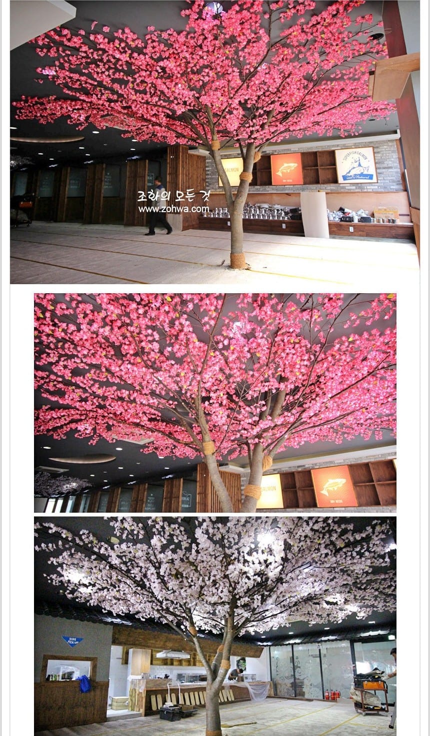 전주 셔먼마켓 — 나란히 세운 매화나무와 벚꽃나무