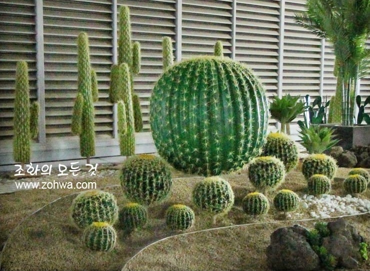 이천 SK하이닉스 수펙스센터 5층 — 인조 선인장으로 만든 사막정원