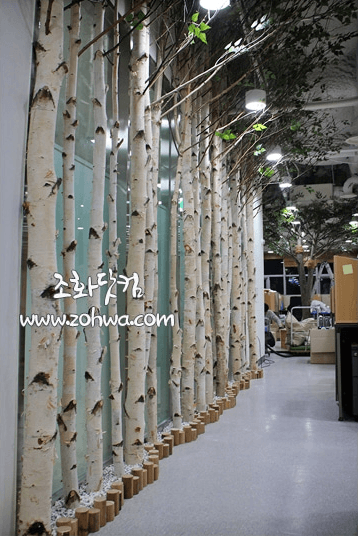 서울대학교 대학원생실 — 자작나무 줄기 파티션