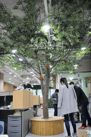 서울대학교 대학원생실 — 통나무형 플랜트박스와 인조 올리브나무