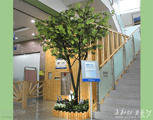 속초병원 — 편안한 대기 공간의 느티나무