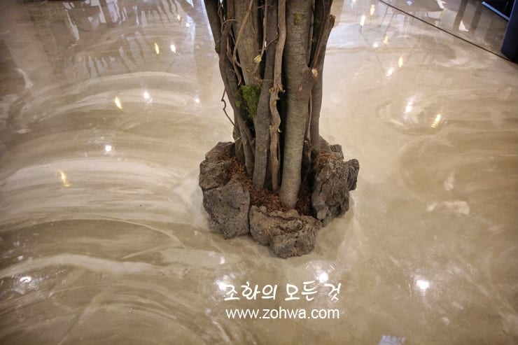 시흥 스테이크레이브 정왕점 — 화산석 화단으로 감싼 나무 밑동