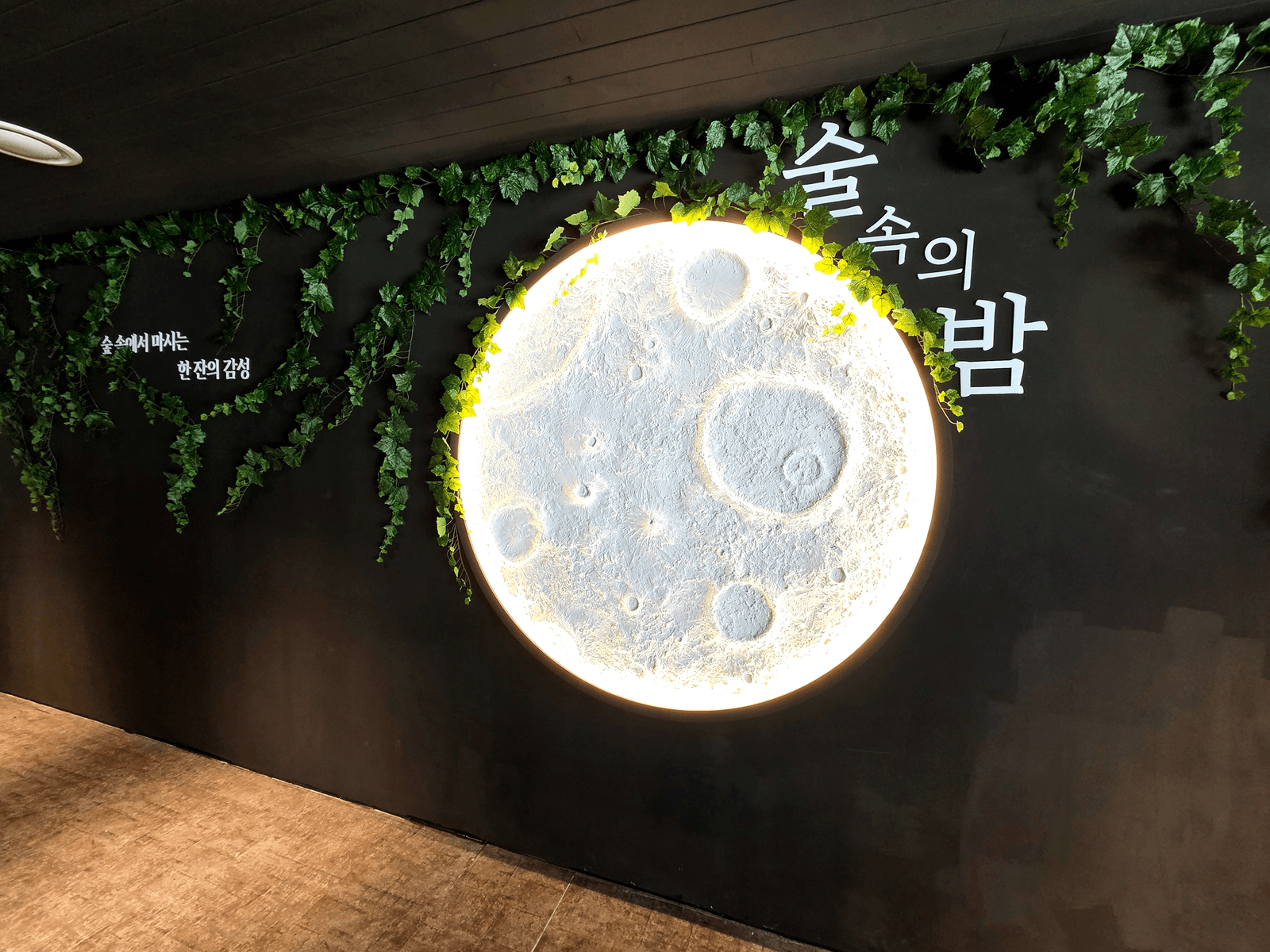 시흥 술밤 배곧점 — 어두운 벽에 드리운 넝쿨 장면