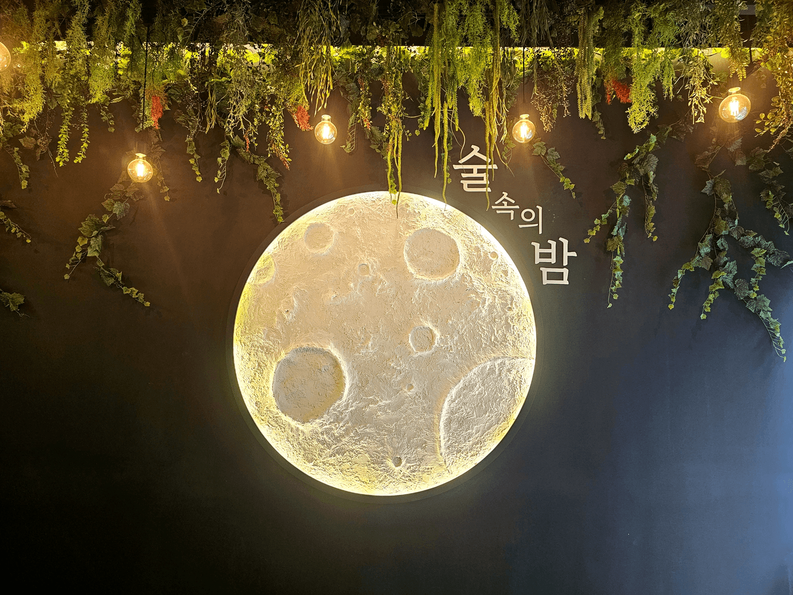 서울 발산역 술밤 발산역점 — 사진부터 찍게 되는 보름달 포토존 벽면