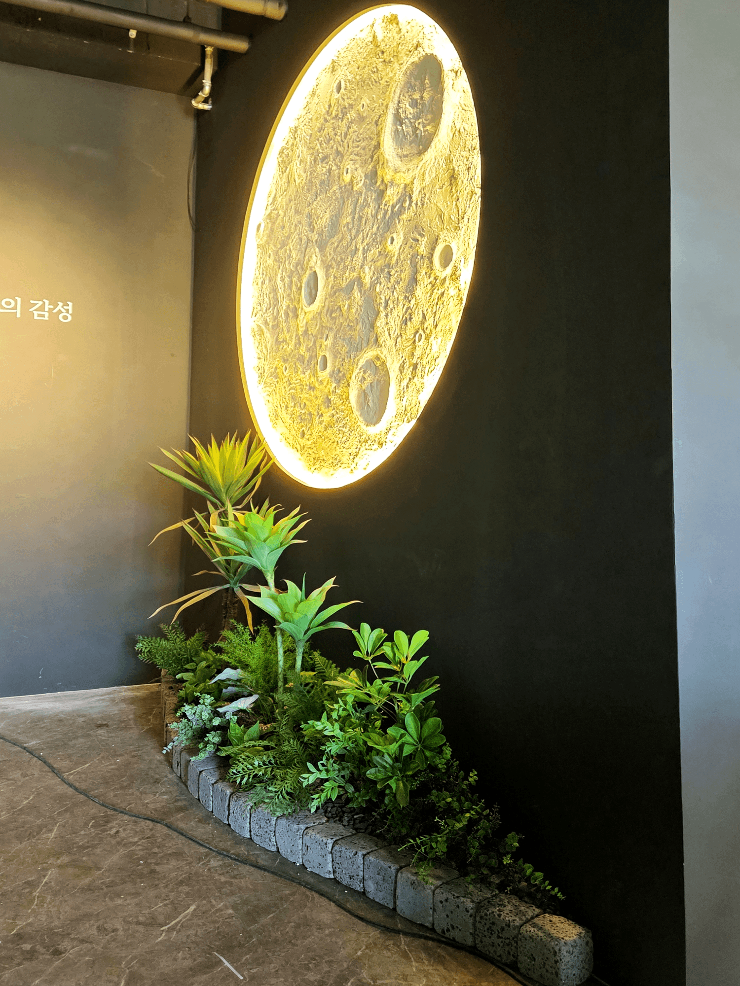 화성 술밤 화성비봉점 좌석 위 잎 커튼
