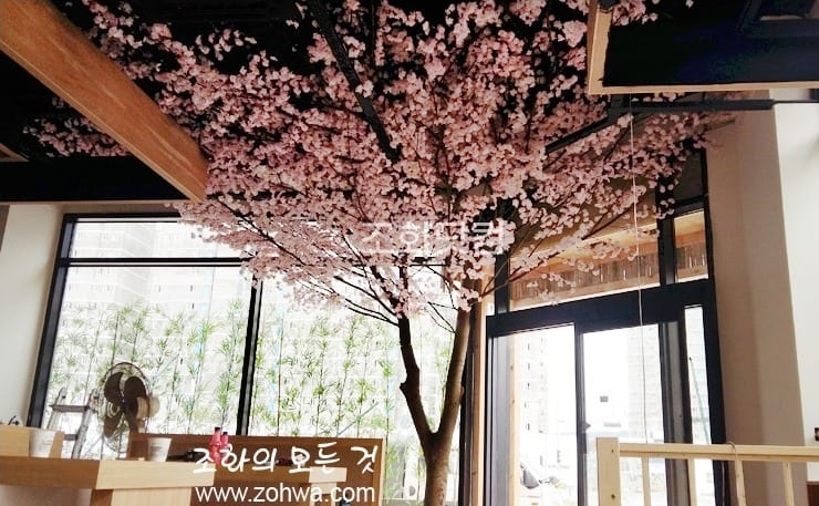 충북 진천 스시이찌방 — 매장 안에 세운 벚꽃나무
