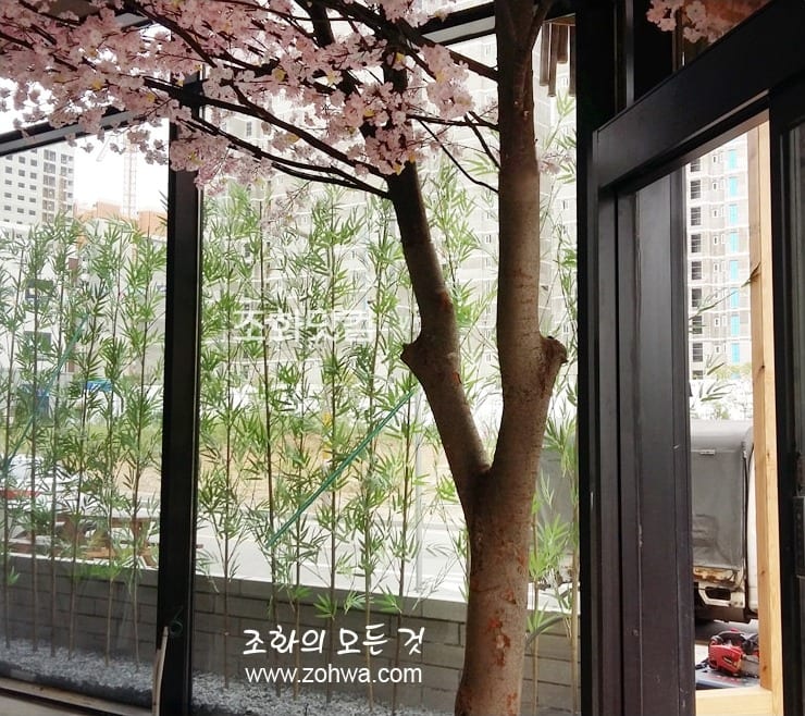 충북 진천 스시이찌방 — 창가의 벚꽃나무