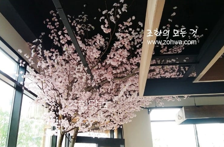 충북 진천 스시이찌방 — 좌석 위로 드리운 벚꽃