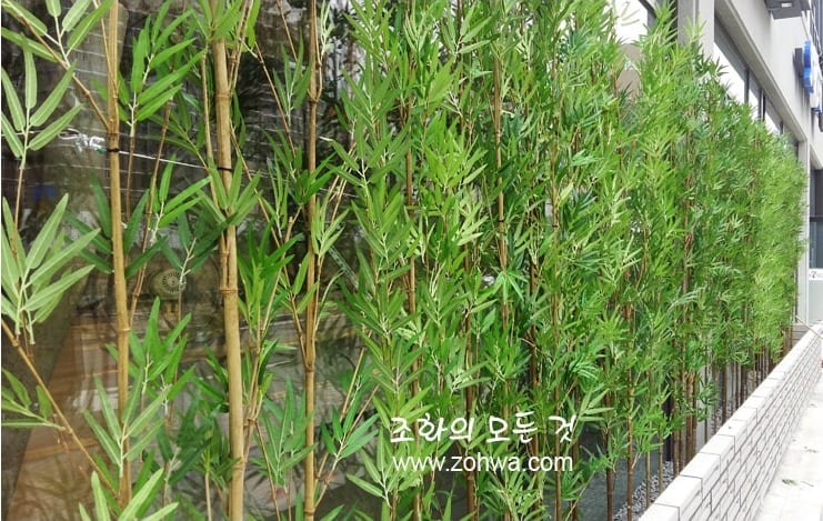 충북 진천 스시이찌방 — 벽을 따라 두른 대나무 라인