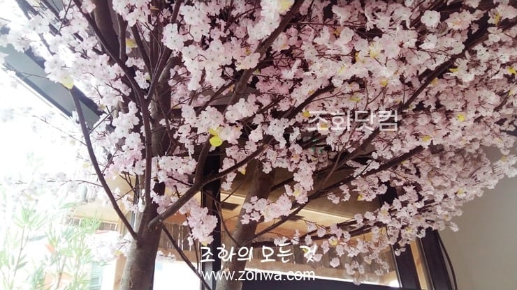 충북 진천 스시이찌방 — 촘촘히 핀 인조 벚꽃