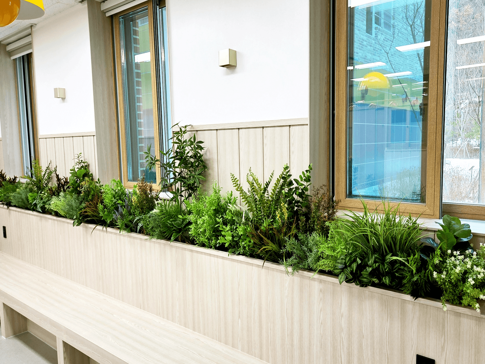 태백 태백중학교 창가 화단 양치식물 디테일