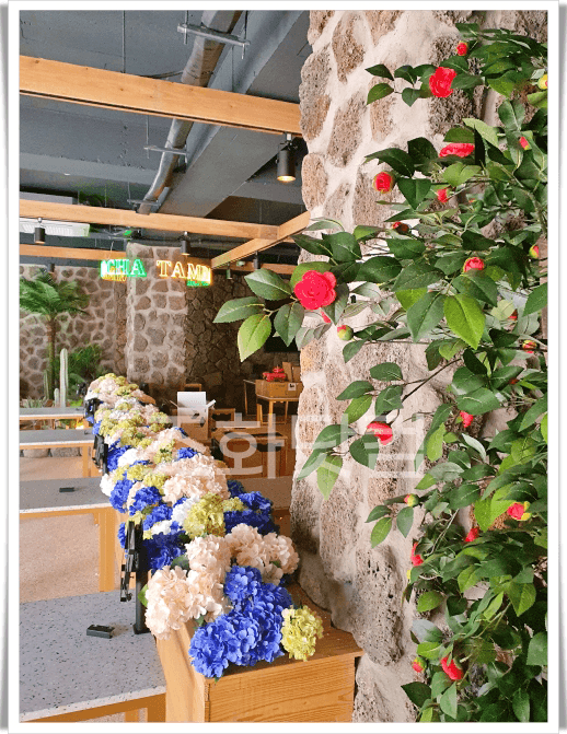 서울 탐라포차 이수점 — 돌기둥과 감귤 넝쿨, 수국 화단이 어우러진 모습