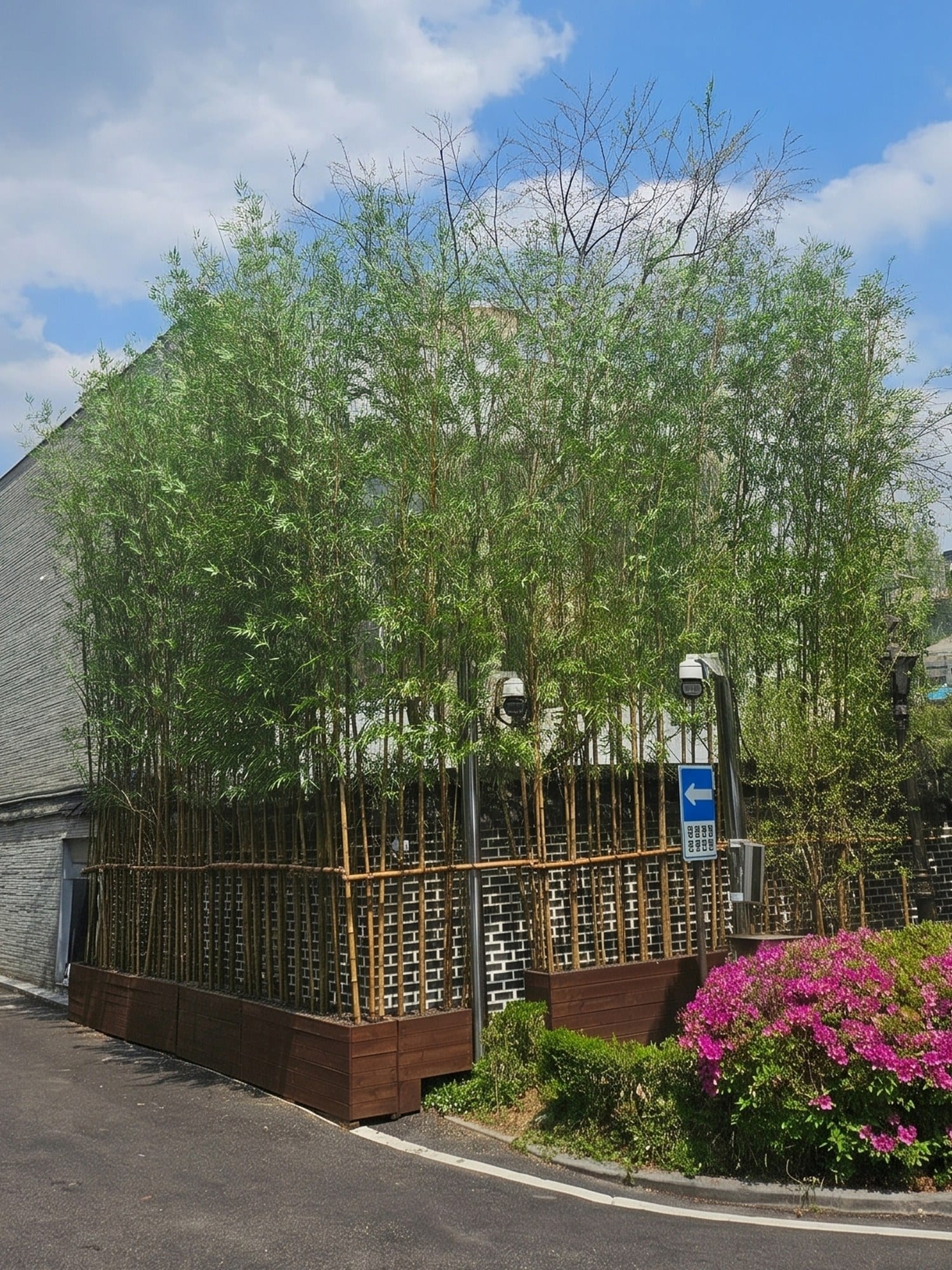총리관저 야외 — 기와 문양 꽃담을 따라 우드 플랜터에 세운 인조 대나무, 담 위로 수관이 올라간 모습