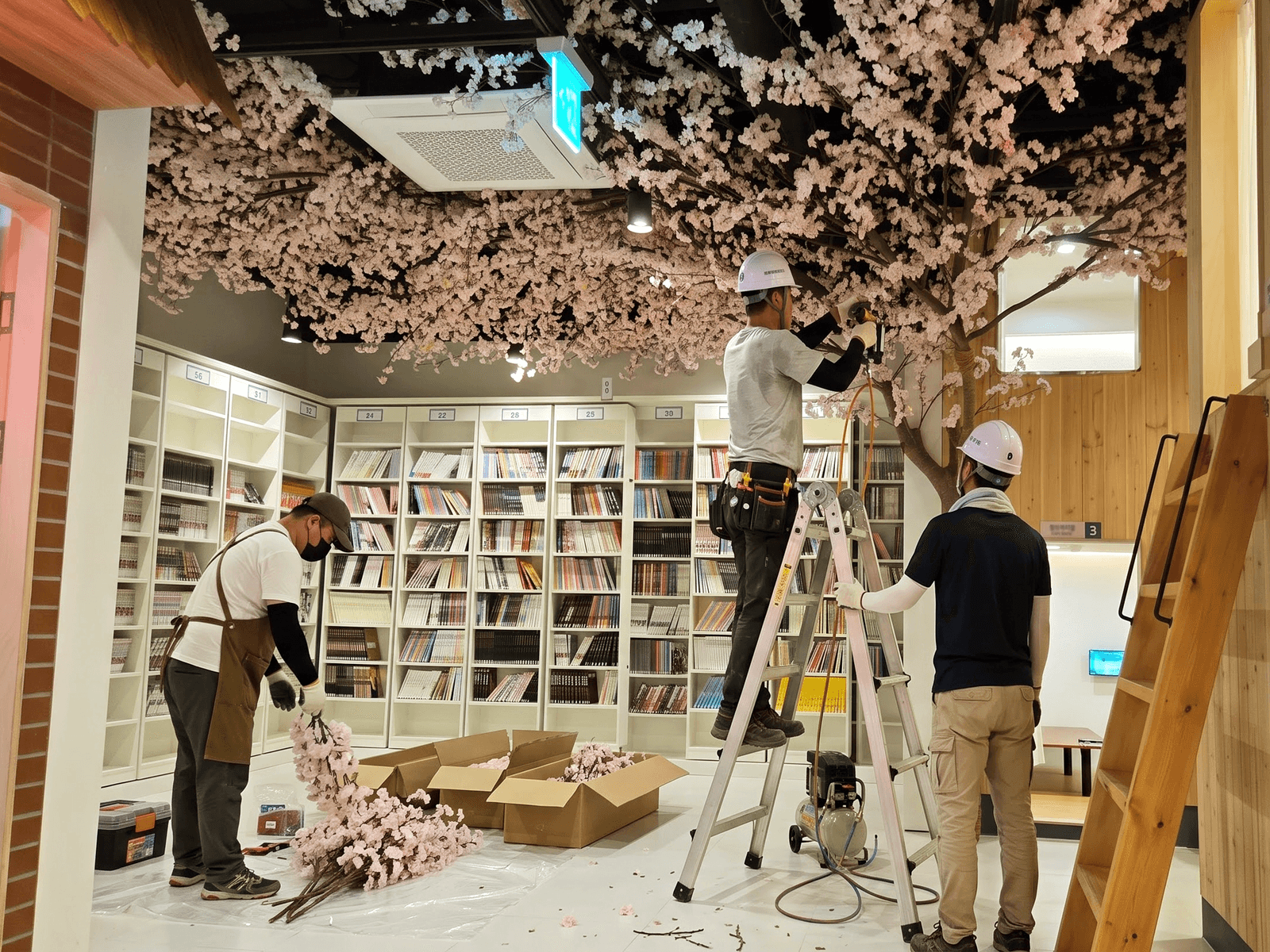 울산 만화카페도도 — 사다리로 가지를 고정하는 시공 장면
