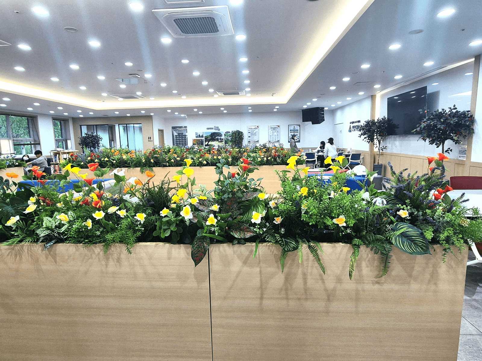 충남 천안 연암대학교 — 노랑·주황·빨강 원색 꽃이 가득한 라운지 플랜트박스