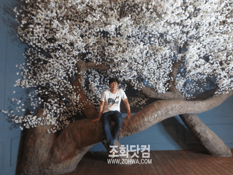 청주 스튜디오 원규 — 벚꽃숲 아래에서의 촬영