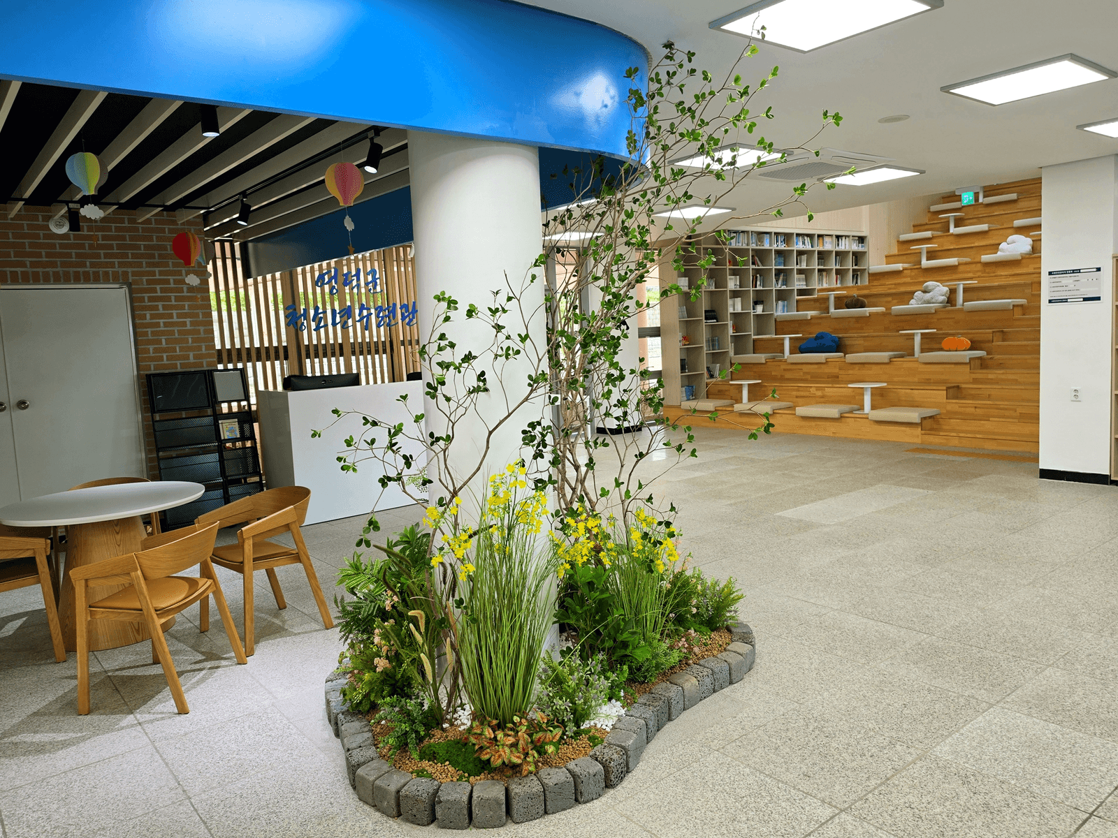 경북 영덕군 청소년수련관 화단의 수선화와 수풀, 뒤로 계단식 열람석이 보이는 모습
