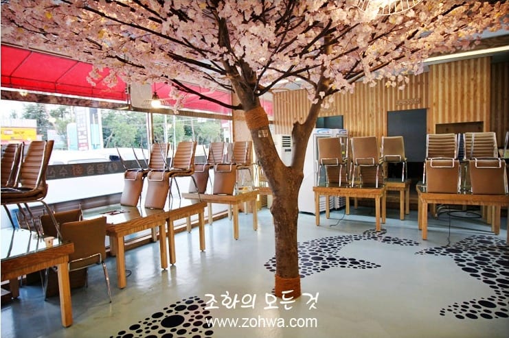 용인 윤송회수산 — 홀 전체를 아우르는 대형 인조 벚꽃나무