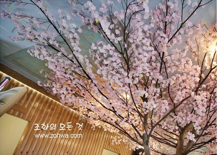 용인 윤송회수산 — 조명 아래 벚꽃빛이 깊어진 홀