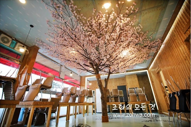 용인 윤송회수산 — 벚꽃나무와 창가 자리