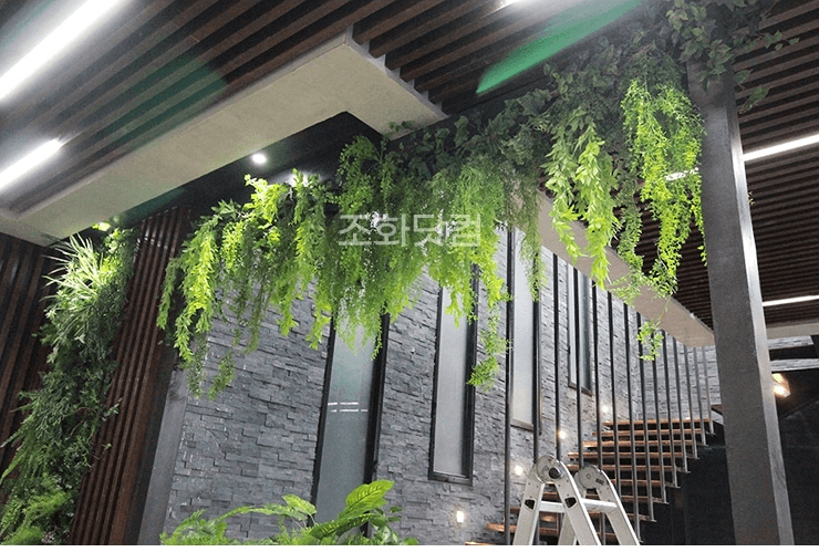 파주 JTBC 로스쿨 촬영장 — 기둥 사이로 늘어진 행잉 잎줄기