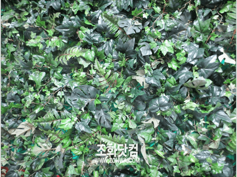 화성 유도실업 휴게실 — 아이비 넝쿨 매트 질감
