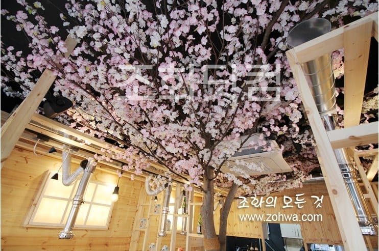 용인 육선생 — 투톤 벚꽃 캐노피