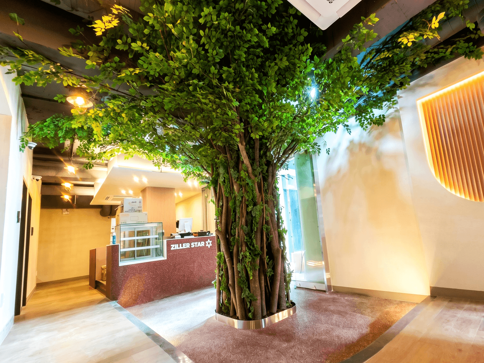 인천 질러노래방 부평점 — 간접조명 사이에 선 나무 전경